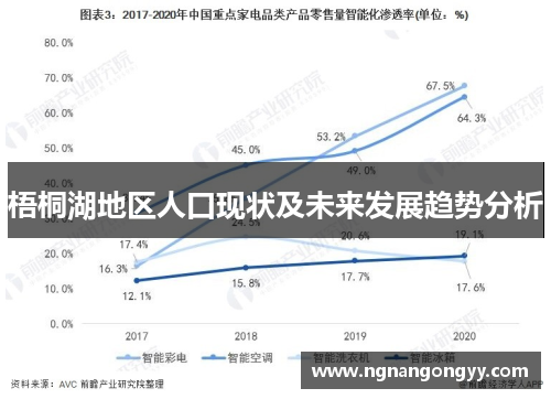 梧桐湖地区人口现状及未来发展趋势分析